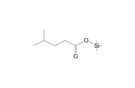 Pentanoic acid <4-methyl->, mono-TMS