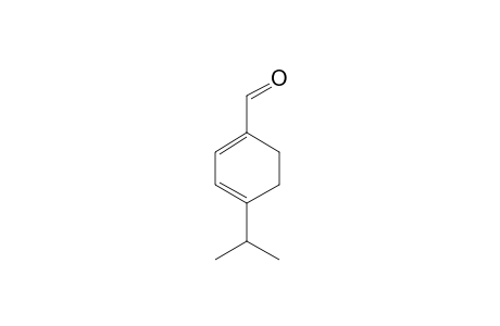 Terpinen-7-al <alpha->