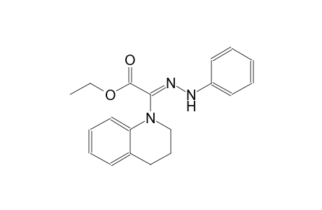 ethyl (2Z)-3,4-dihydro-1(2H)-quinolinyl(phenylhydrazono)ethanoate