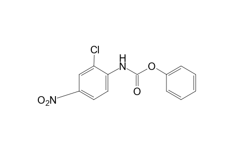 2-Chloro-4-nitrocarbanilic acid, phenyl ester