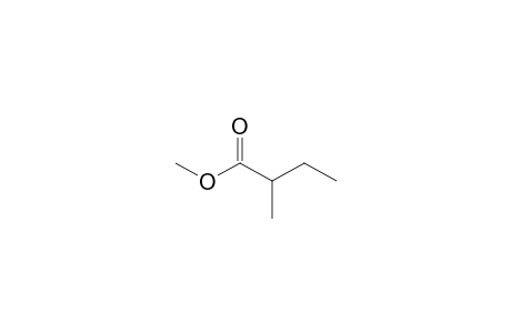 2-Methyl-butyric acid, methyl ester
