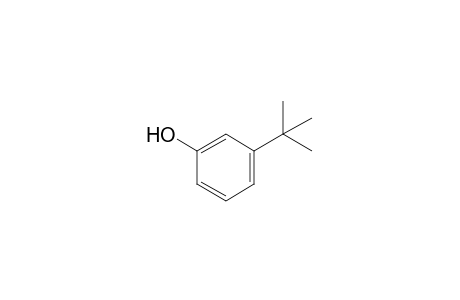 3-Tert-butylphenol
