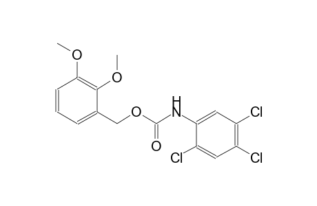 2,3-dimethoxybenzyl 2,4,5-trichlorophenylcarbamate