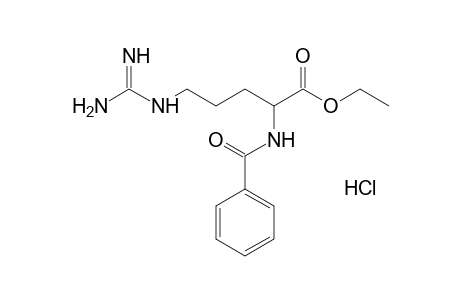 Nalpha-Benzoyl-L-arginine, ethyl ester HCl
