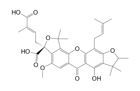 SCORTECHINONE_W;1-HYDROXY-7-METHOXY-2',2'-DIMETHYL-5'-CARBOXY-5'-(3-CARBOXYLBUT-2-ENYL)-FURANO-(3',4':5,6)-4-(3-METHYLBUTYL-2-ENYL)-4'',4'',5''-TRIMET