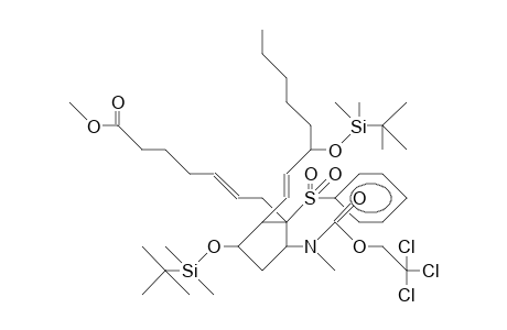 Methyl-(5Z,13E,8R,9S,11R,12S,15S)-11,15-bis-(tert-butyldimethylsiloxy)-9-[[carbo-trichlorethoxy)]-methylamino]-8-phenylo