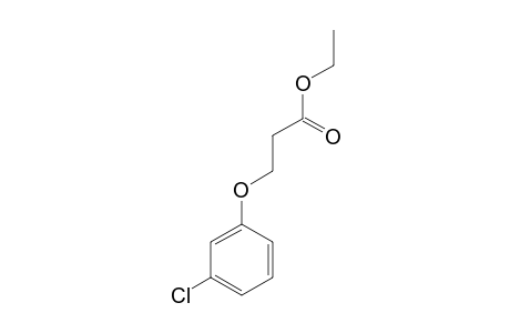 3-(m-chlorophenoxy)propionic acid, ethyl ester