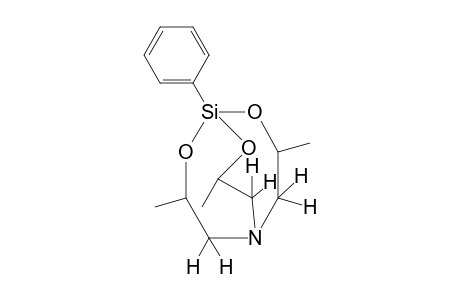 1-phneyl-3,7,10-trimethyl-2,8,9-trioxa-5-aza-1-silabicyclo[3.3.3]undecane