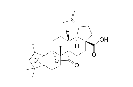 BREYNCEANOTHANOLIC_ACID;5-ALPHA,10-ALPHA-EPOXY-9-ALPHA,27-ALPHA-LACTONE-25-(10->2-ALPHA)-ABEO-A-(1)-NORLUP-20-(29)-EN-28-OIC_ACID