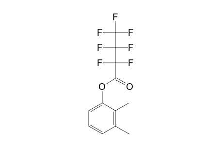 2,3-Dimethylphenol, heptafluorobutyrate