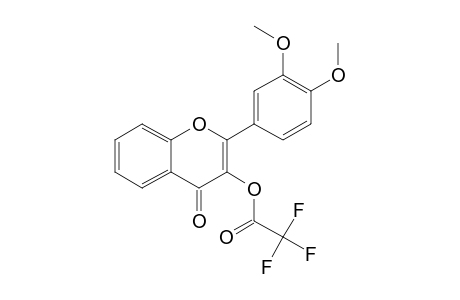 3',4'-Dimethoxyflavonol, trifluoroacetate