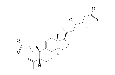 (+)-SPONGIPORIC-ACID-A;(+)-23-OXO-3,4-SECO-LANOSTA-4(28),7(8),9(11),24(31)-TETRAENE-3,26-DICARBOXYLIC-ACID