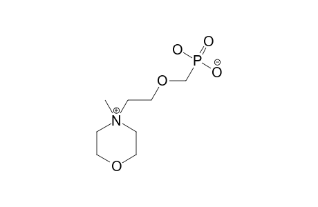 O-PHOSPHONATOMETHYL-2-(N-METHYL-MORPHOLINIUM)-ETHANOL