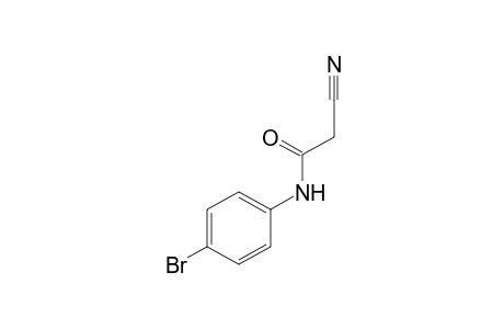 4'-bromo-2-cyanoacetanilide