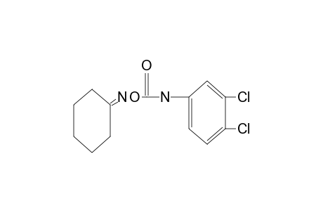 cyclohexanone, O-[(3,4-dichlorophenyl)carbamoyl]oxime