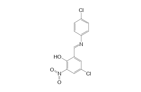 4-Chloro-2-{[(4-chlorophenyl)imino]methyl}-6-nitrophenol