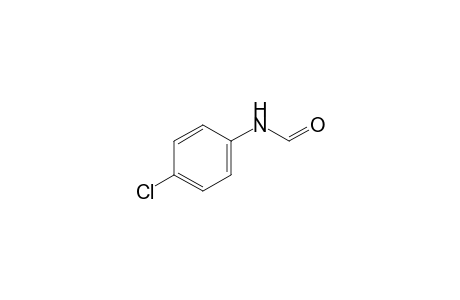 N-(4-chlorophenyl)formamide