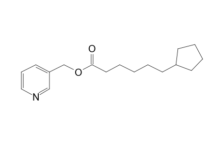 Picolinyl 6-cyclopentylhexanoate