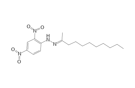 (2E)-2-Undecanone (2,4-dinitrophenyl)hydrazone