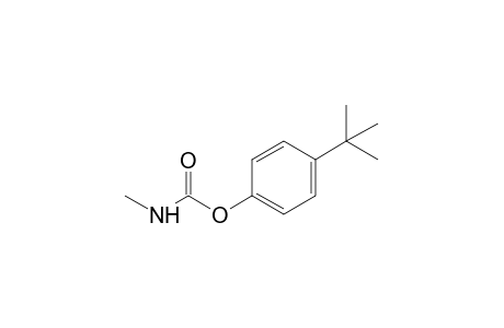 methylcarbamic acid, p-tert-butylphenyl ester