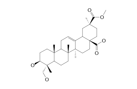 PHYTOLACCINIC-ACID