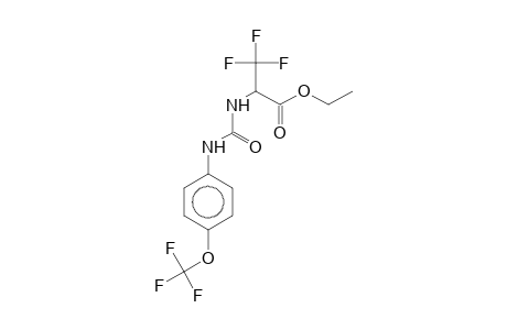 3,3,3-trifluoro-2-[[4-(trifluoromethoxy)phenyl]carbamoylamino]propionic acid ethyl ester