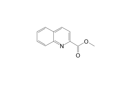 2-Quinolinecarboxylic acid methyl ester