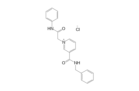 3-(benzylcarbamoyl)-1-[(phenylcarbamoyl)methyl]pyridinium chloride