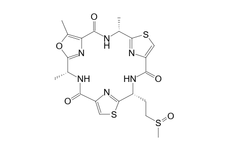 Dendroamide C