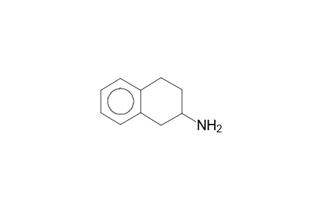 1,2,3,4-tetrahydro-2-naphthylamine