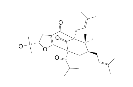 GARCINIELLIPTONE-M;9,9-DIMETHYL-6-ALPHA,8-BETA-DI-(GAMMA,GAMMA-DIMETHYLALLYL)-3,4-[2-BETA-(2'-HYDROXYISOPROPYL)-2,3-DIHYDROFURAN]-2-ALPHA-(1-OXO-2-