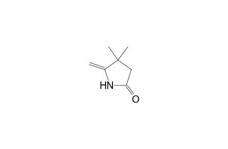 2-Pyrrolidinone, 4,4-dimethyl-5-methylidene-