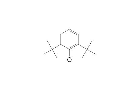 2,6-DI-tert-BUTYLPHENOL