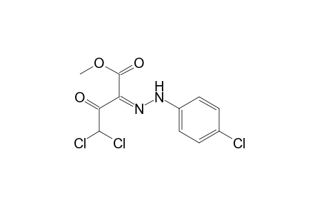 METHYL-3,3-DICHLORO-1-(4-CHLOROPHENYLHYDRAZINO)-2-OXO-PROPANE-1-CARBOXYLATE