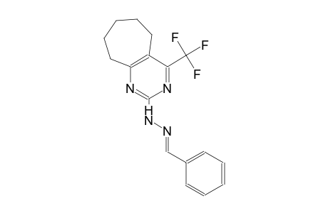 benzaldehyde, [6,7,8,9-tetrahydro-4-(trifluoromethyl)-5H-cyclohepta[d]pyrimidin-2-yl]hydrazone