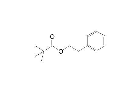 Propanoic acid, 2,2-dimethyl-, 2-phenylethyl ester