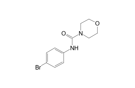 4'-bromo-4-morpholinecarboxanilide
