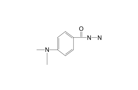 p-(dimethylamino)benzoic acid, hydrazide