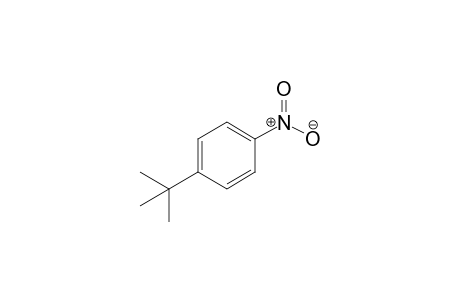 1-tert-Butyl-4-nitrobenzene