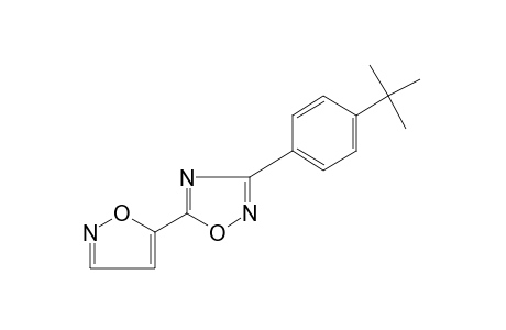 3-(p-tert-butylphenyl)-5-(5-isoxazolyl)-1,2,4-oxadiazole