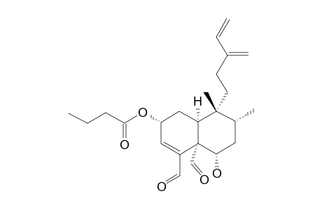 CASEANIGRESCEN_D-2