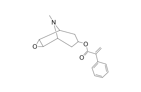 Scopolamine -H2O                     @