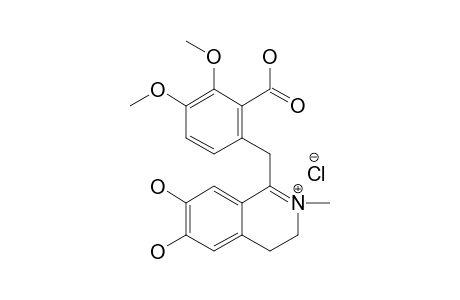 LEPTOPININE