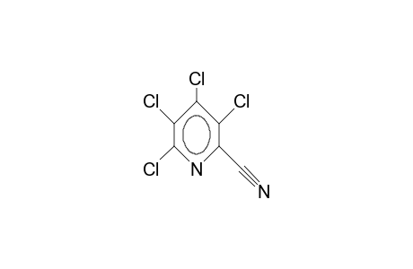 3,4,5,6-TETRACHLOROPICOLINONITRILE