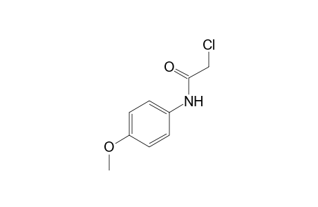 2-chloro-p-acetamide