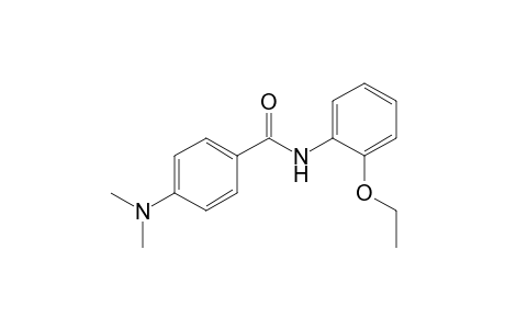 4-(dimethylamino)-N-(2-ethoxyphenyl)benzamide