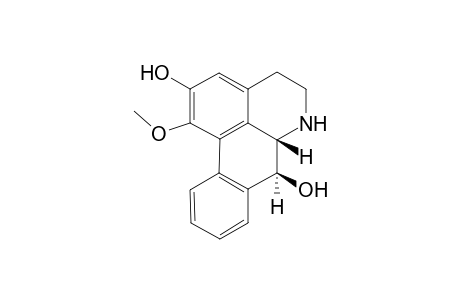 Nor-Pachyconfine