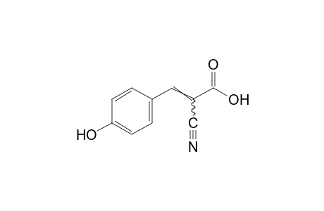 alpha-CYANO-p-HYDROXYCINNAMIC ACID