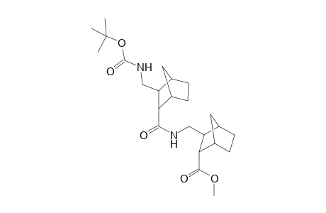 Methyl 2-[N-[2'-(tert-Butoxycarbonyl)aminomethyl]bicyclo[2.2.1]hept-3-ylcarbonylamidomethyl]bicyclo[2.2.1]heptan-3-carboxylate