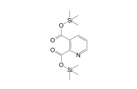 Quinolinic acid, di-TMS